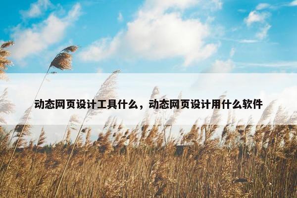 动态网页设计工具什么，动态网页设计用什么软件