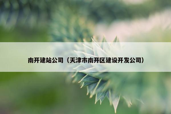 南开建站公司（天津市南开区建设开发公司）