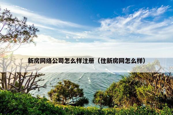 新房网络公司怎么样注册（住新房网怎么样）