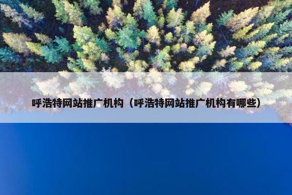 呼浩特网站推广机构（呼浩特网站推广机构有哪些）