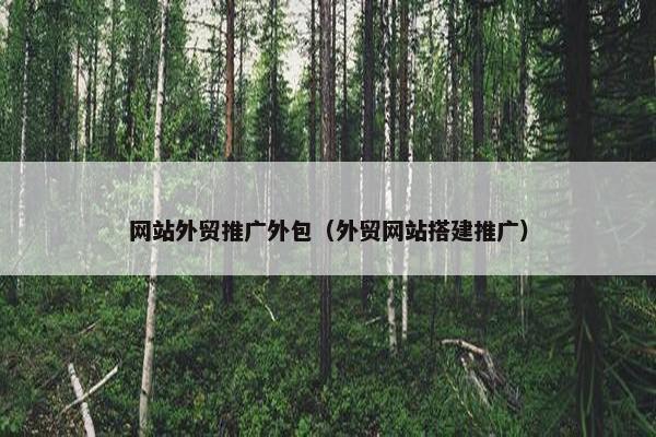 网站外贸推广外包（外贸网站搭建推广）
