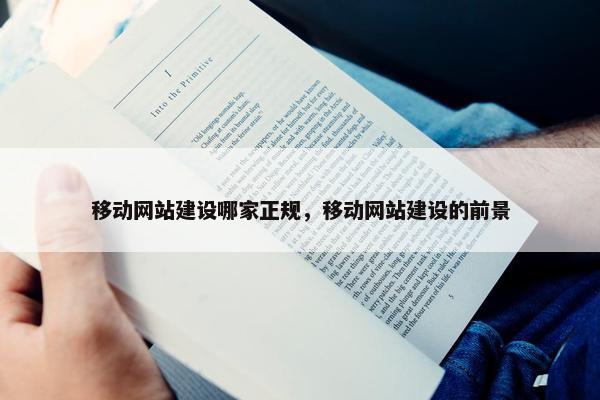 移动网站建设哪家正规，移动网站建设的前景