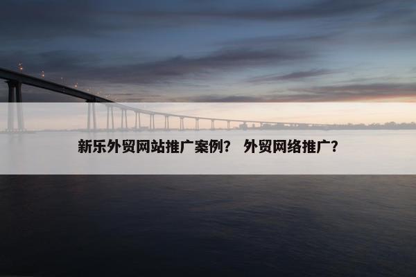 新乐外贸网站推广案例？ 外贸网络推广？