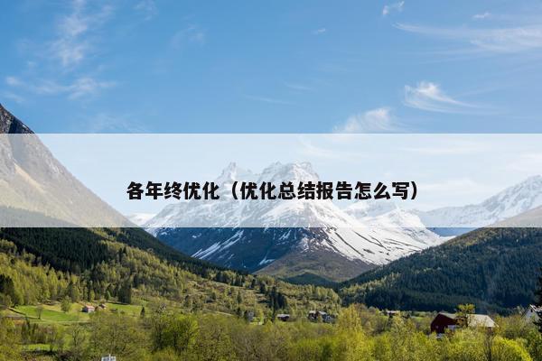 各年终优化（优化总结报告怎么写）