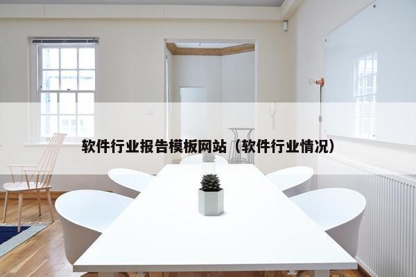 软件行业报告模板网站（软件行业情况）
