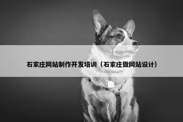 石家庄网站制作开发培训（石家庄做网站设计）