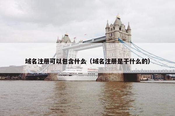 域名注册可以包含什么（域名注册是干什么的）