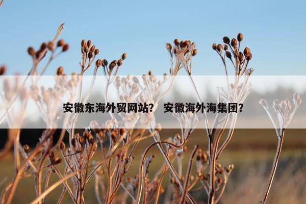 安徽东海外贸网站？ 安徽海外海集团？