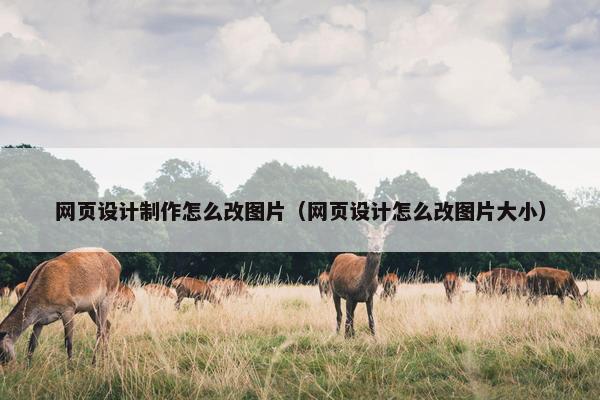 网页设计制作怎么改图片（网页设计怎么改图片大小）