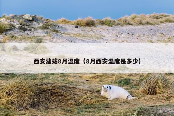 西安建站8月温度（8月西安温度是多少）