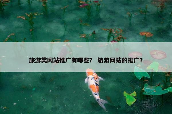旅游类网站推广有哪些？ 旅游网站的推广？