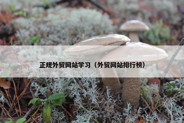 正规外贸网站学习（外贸网站排行榜）