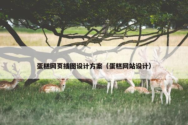 蛋糕网页插图设计方案（蛋糕网站设计）