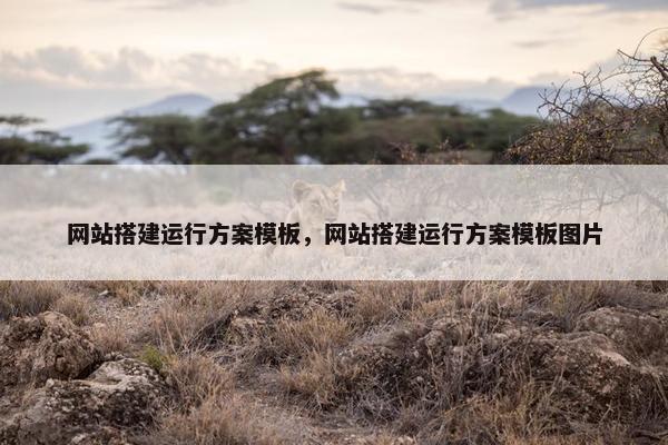 网站搭建运行方案模板，网站搭建运行方案模板图片