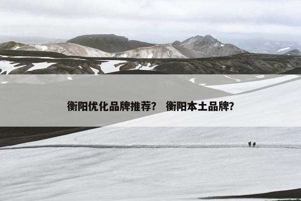 衡阳优化品牌推荐？ 衡阳本土品牌？
