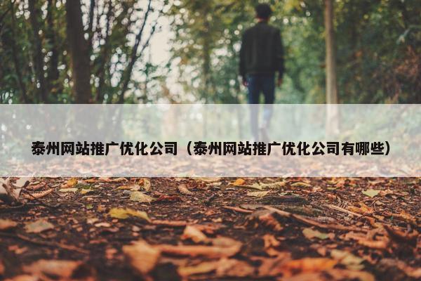 泰州网站推广优化公司（泰州网站推广优化公司有哪些）