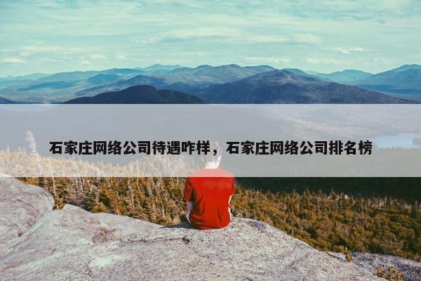 石家庄网络公司待遇咋样，石家庄网络公司排名榜