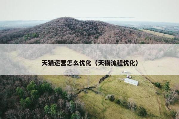 天猫运营怎么优化（天猫流程优化）