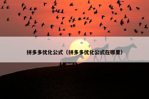 拼多多优化公式（拼多多优化公式在哪里）