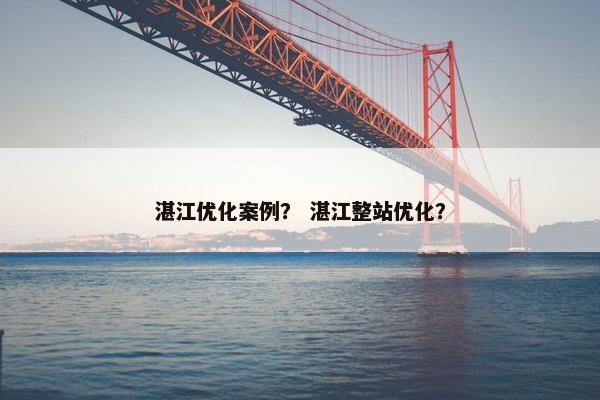湛江优化案例？ 湛江整站优化？