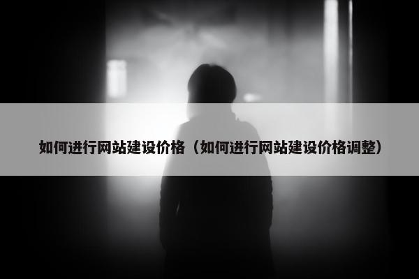 如何进行网站建设价格（如何进行网站建设价格调整）