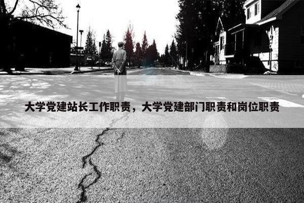 大学党建站长工作职责，大学党建部门职责和岗位职责