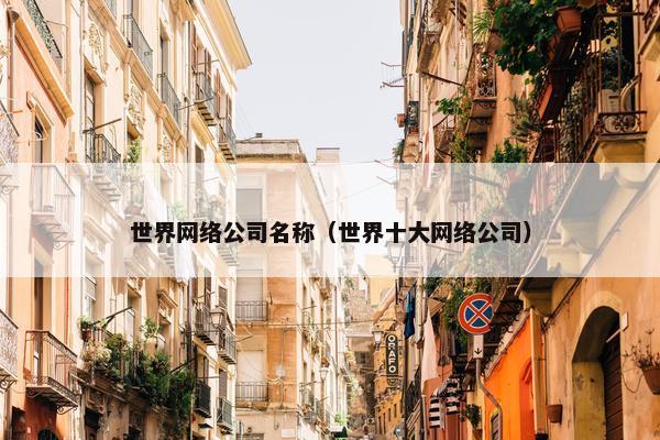 世界网络公司名称（世界十大网络公司）