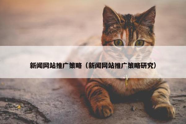 新闻网站推广策略（新闻网站推广策略研究）