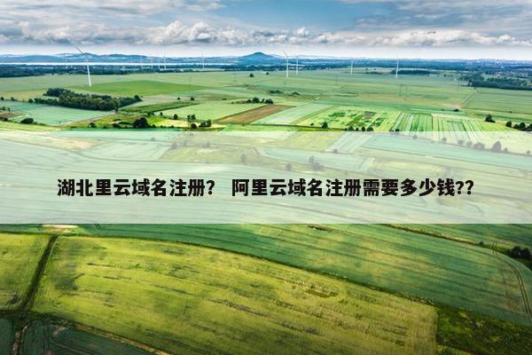 湖北里云域名注册？ 阿里云域名注册需要多少钱?？