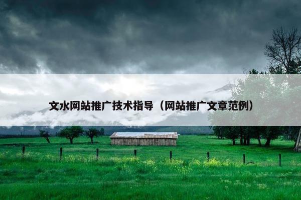 文水网站推广技术指导（网站推广文章范例）