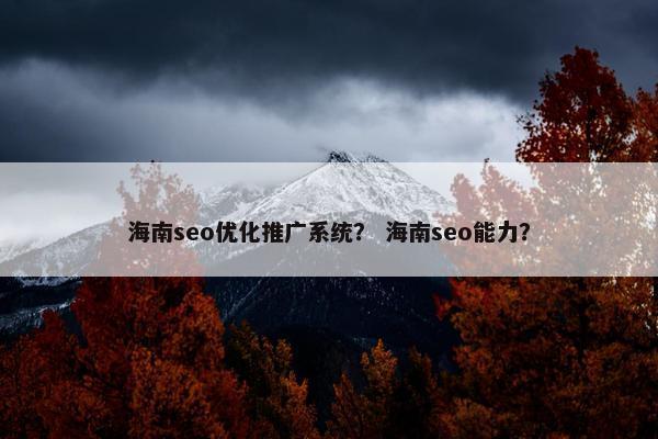海南seo优化推广系统？ 海南seo能力？