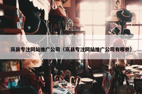 岚县专注网站推广公司（岚县专注网站推广公司有哪些）