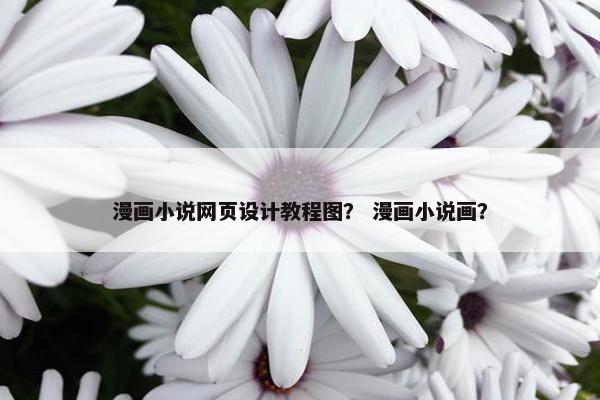 漫画小说网页设计教程图？ 漫画小说画？