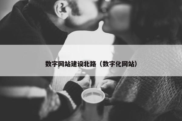 数字网站建设北路（数字化网站）
