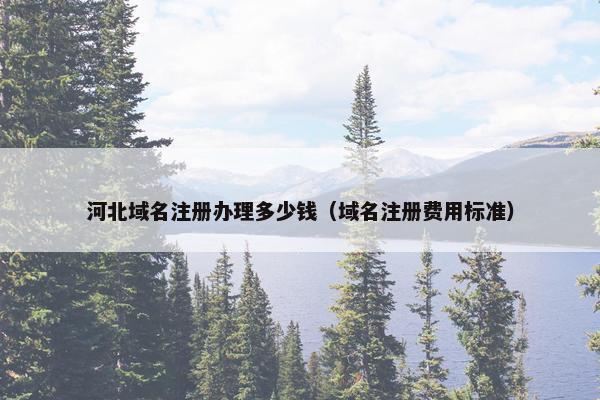 河北域名注册办理多少钱（域名注册费用标准）