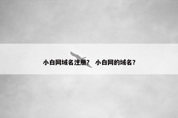 小白网域名注册？ 小白网的域名？