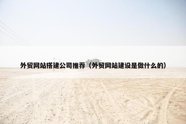 外贸网站搭建公司推荐（外贸网站建设是做什么的）