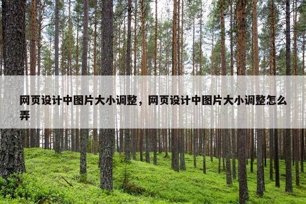 网页设计中图片大小调整，网页设计中图片大小调整怎么弄