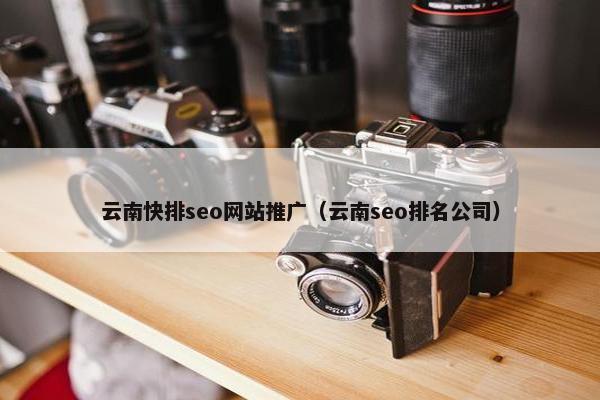 云南快排seo网站推广（云南seo排名公司）