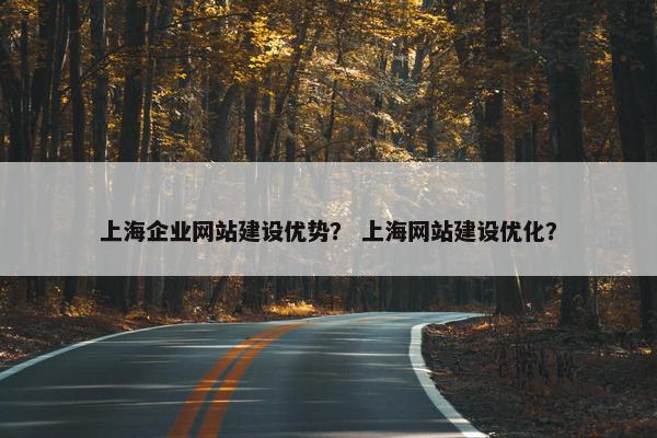 上海企业网站建设优势？ 上海网站建设优化？