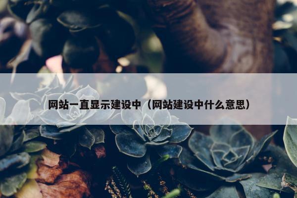 网站一直显示建设中（网站建设中什么意思）