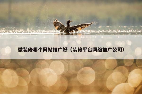 做装修哪个网站推广好（装修平台网络推广公司）