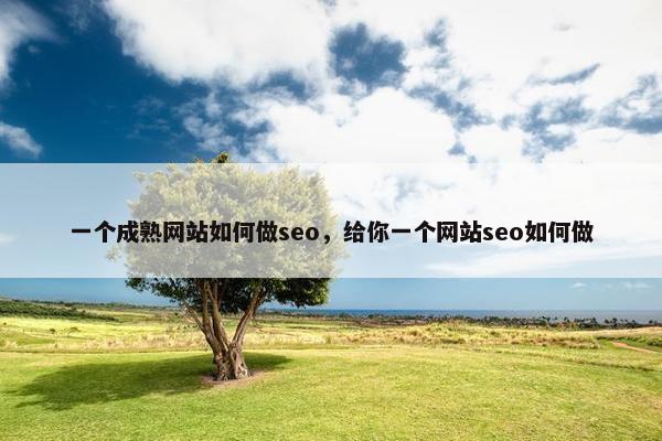一个成熟网站如何做seo，给你一个网站seo如何做