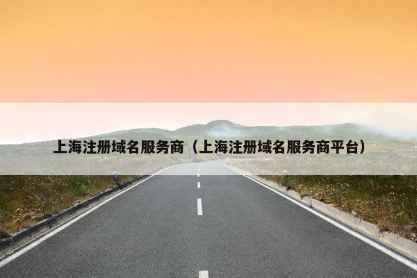 上海注册域名服务商（上海注册域名服务商平台）