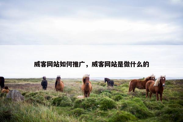 威客网站如何推广，威客网站是做什么的