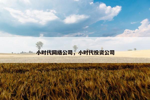 小时代网络公司，小时代投资公司