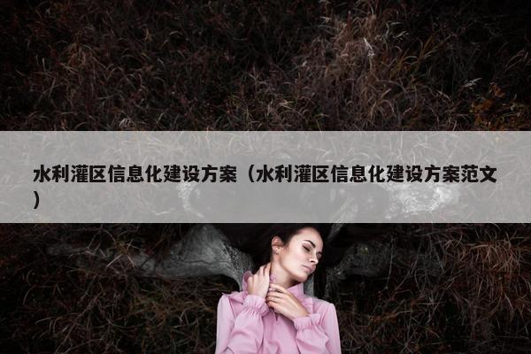 水利灌区信息化建设方案（水利灌区信息化建设方案范文）