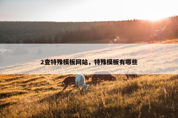 2查特殊模板网站，特殊模板有哪些