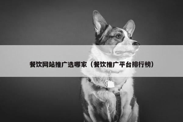 餐饮网站推广选哪家（餐饮推广平台排行榜）