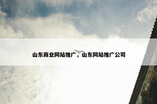 山东商业网站推广，山东网站推广公司